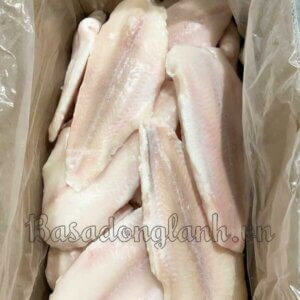 basa fillet đông lạnh size 300-700gr