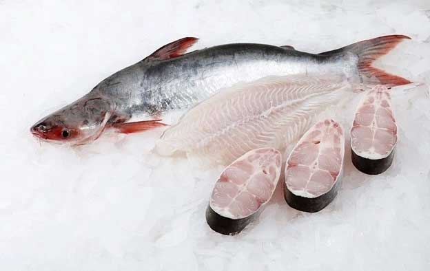 Dinh dưỡng từ cá basa